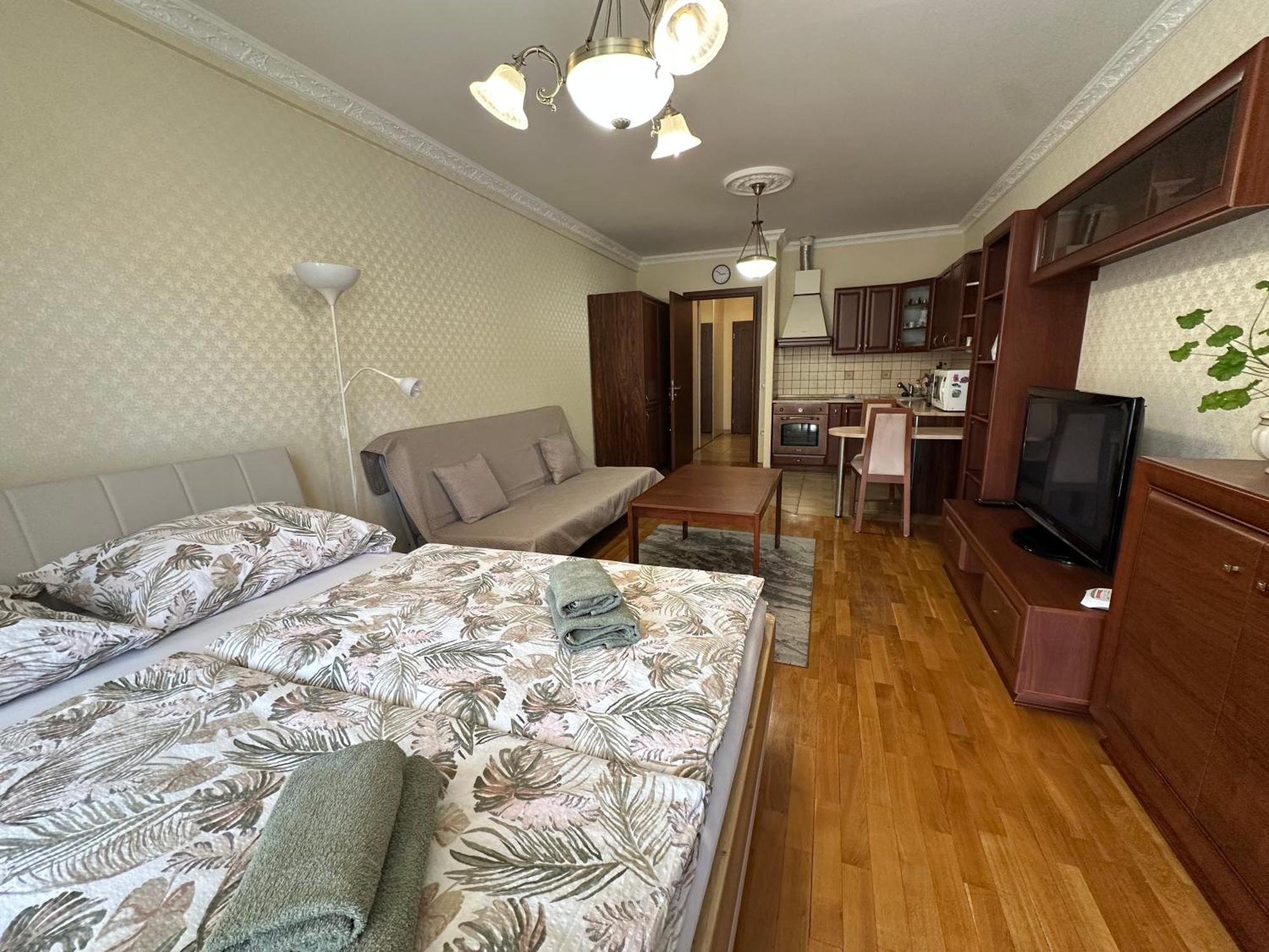 Apartment Julia In The Center Of Karlovy Vary Luaran gambar